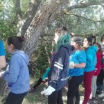 Travesía Guía 2017